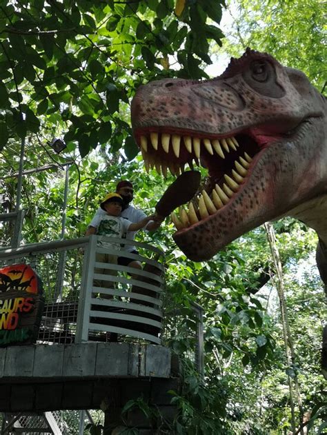hotel near dinosaur island pampanga|Hotels near Dinosaurs Island .